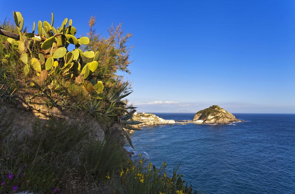 Costa Del Capitano Suite Apartments Sant'Angelo  Esterno foto